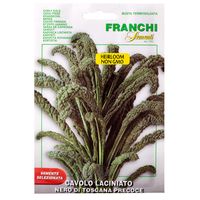 Franchi Semeni Nero di Toscana Curly Kale